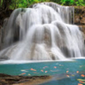 Meet your Posher, Da